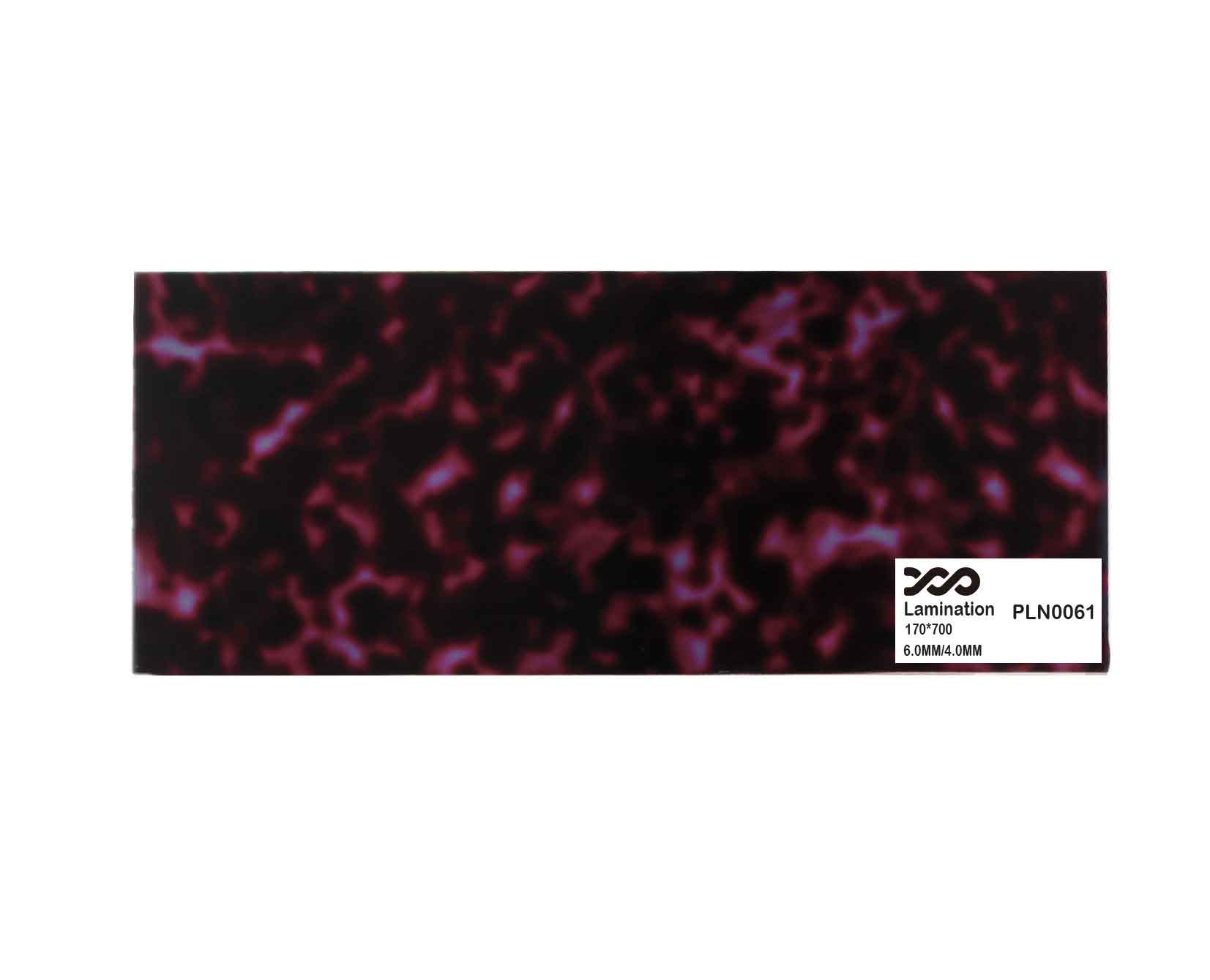 PLN0061